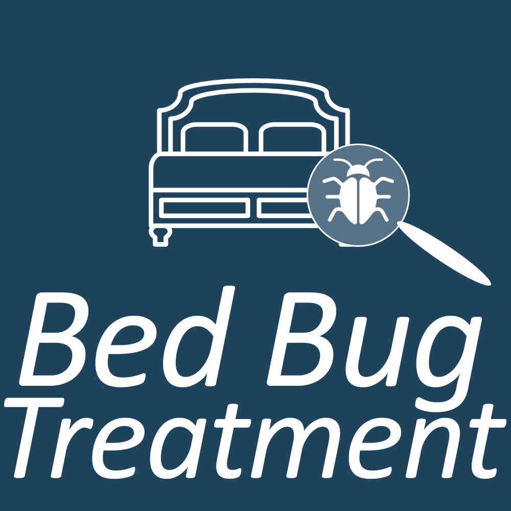 Bed Bug Treatment