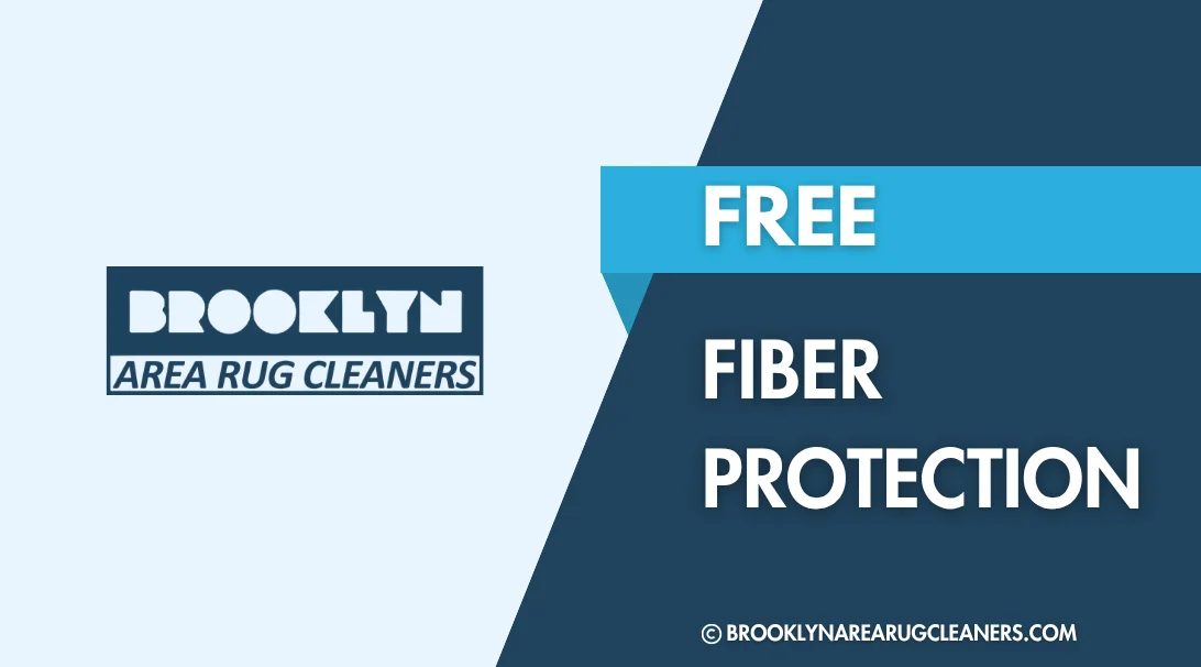 FREE FIBER PROTECTION WITH ANY CLEANING